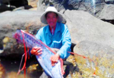 Thực hư chuyện câu được 